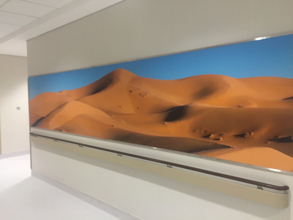 Cherry blossom park photographic wall mural in office corridor